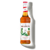 MONIN Irish syrup