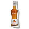 MONIN Amaretto liqueur