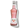 MONIN Lychee liqueur