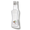 MONIN Coconut liqueur