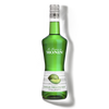 MONIN Green Melon liqueur