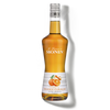 MONIN Orange Curaçao liqueur