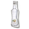 MONIN White Cacao liqueur