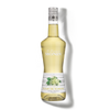 MONIN Elderflower liqueur