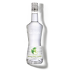 MONIN Manzana Verde liqueur