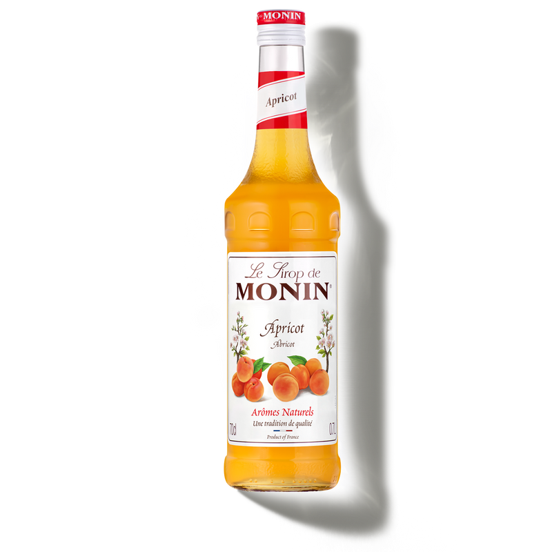 MONIN Apricot syrup