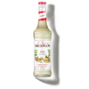 MONIN Ginger syrup