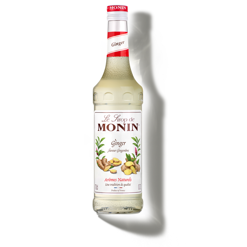 MONIN Ginger syrup