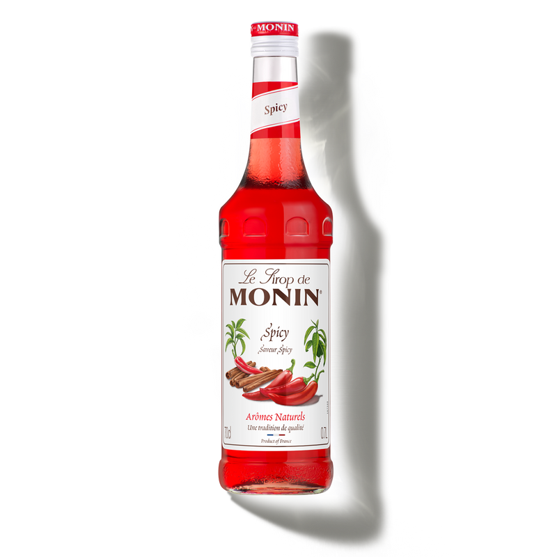 MONIN Spicy syrup