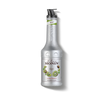MONIN Kiwi fruit mix