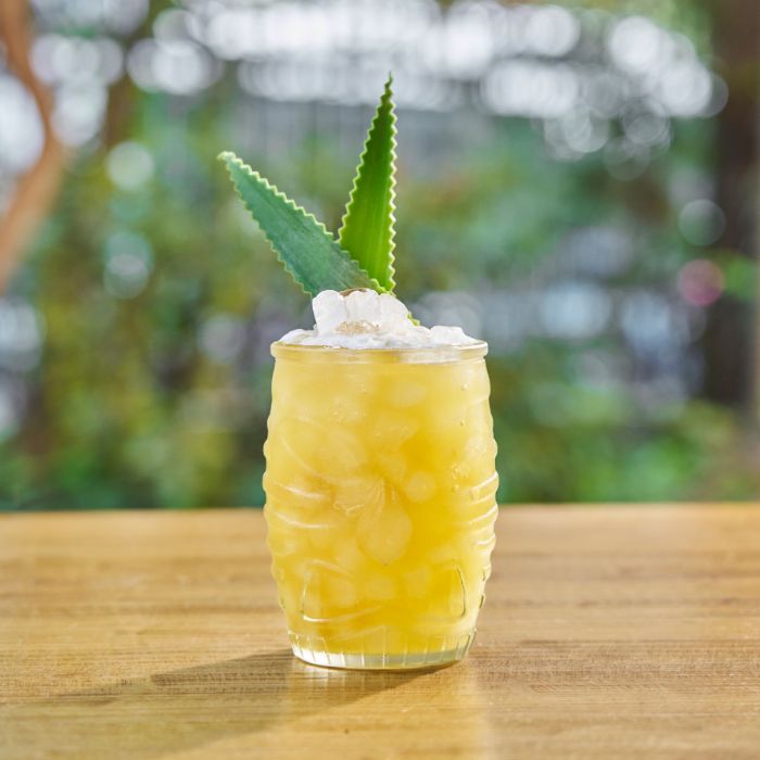 Tropical Grove